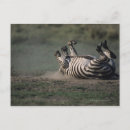 Search for nature reserve postcards Outdoors