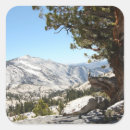 Search for yosemite stickers Outdoors