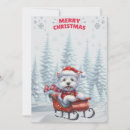 Search for sled christmas cards Snow
