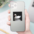 Search for mute swan stickers Bird