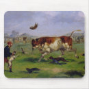 Search for bull mousepads Sports