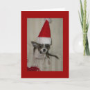 Search for chihuahua christmas cards Dog