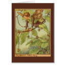 Search for beech Illustration