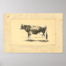 Search for bovines art Cattle