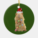 Search for guinea pigs christmas decor Santa