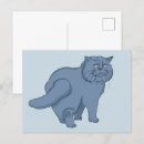 Search for love cats postcards Cute animals