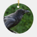 Search for black crows christmas tree decorations Bird
