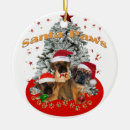 Search for santa paws christmas tree decorations Dogs