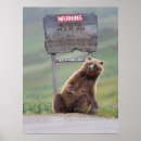 Search for 2006 posters Animal
