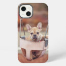Search for bulldog iphone cases Domestic animals