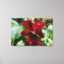 Search for pansies canvas prints Pansy