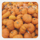 Search for autumn festival stickers Celebration