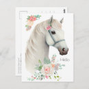 Search for horse postcards Equestrian