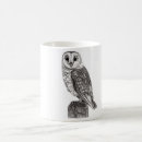 Search for barn owls mugs Bird of prey
