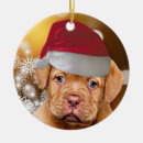 Search for dogue de bordeaux christmas tree decorations Animal