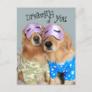 Search for golden retriever valentines day cards Photograph