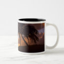 Search for tropical sunrise mugs Colourful