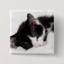 Search for lying down badges Animal