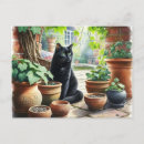 Search for catnip postcards Cute