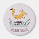 Search for cute fox Illustration