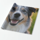 Search for pet photo wrapping paper Pets