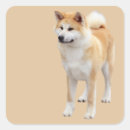Search for akitas stickers Inu