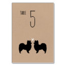 Search for papillon dog Animals