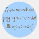 Search for snails puppy dog tails Boy