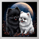 Search for pomeranian posters Puppies
