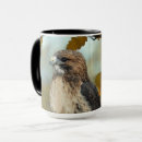 Search for red tail hawk mugs Wildlife