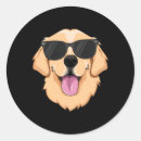 Search for canine companion stickers Loyal