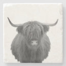 Search for highland cow coasters Farm