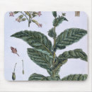 Search for fine art mousepads Plants
