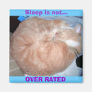 Search for rated magnets Cute