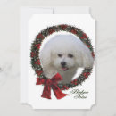Search for bichon frise christmas cards Xmas