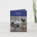 Search for odd cards Duck
