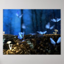 Search for magic mushroom posters Nature