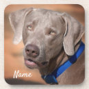 Search for weimaraner barware Grey
