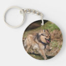 Search for harness key rings Bob and pam langrish