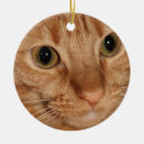 Search for ginger christmas tree decorations Orange