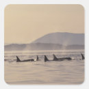 Search for san juan islands stickers Washington state