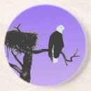 Search for eagle coasters Portrait