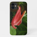 Search for calla lily iphone cases Floral