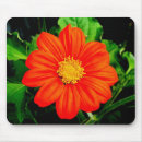 Search for mexican mousepads Orange