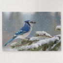Search for blue jays puzzles Winter