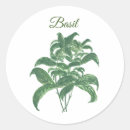 Search for basil stickers Botanical
