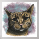 Search for tabby posters For cat lovers