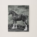 Search for draught board Clydesdale