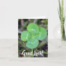 Search for leaving job cards Luck