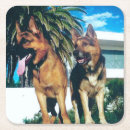 Search for german shepherd coasters Birthday